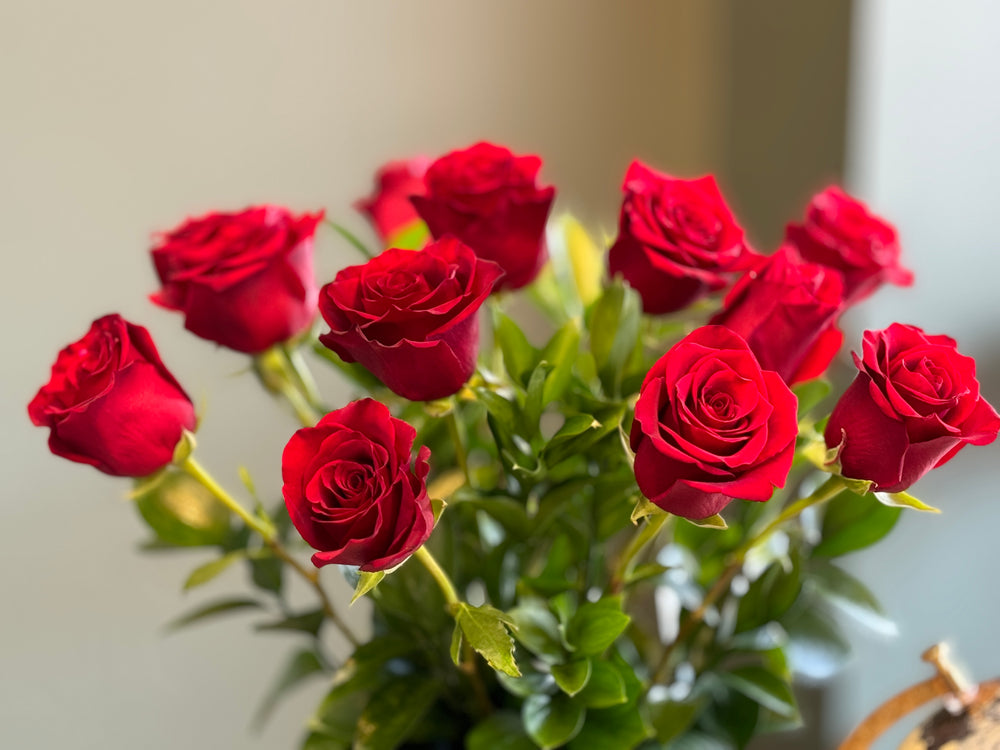 12 Premium Red Roses | Red vase